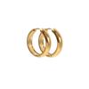 Elegant Gold Stainless Steel Earrings - Versatile, Trendy, and High-Class Jewelry for a Sophisticated Look.