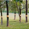 Tree Protector Wrap Tape 164 Ft X 2 Inch Caterpillar-Proof Tree Wrap Adhesive Slippery Kraft Paper Barrier For Plant Caterpillar