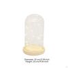 Miniature Lights Glass Cloche Warm Glow Tabletop Dome Modern Design Lighted Display Bell Jar for