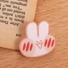 Bear Dog Pin Badge Acrylic Bear Bunny Lapel Pins Cartoons Bunny Brooches  Gift