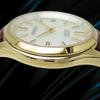 Citizen Exceed Eco-Drive Radio-Controlled Quartz H111-T015875 Gold-Plated Duratect Silver Dial Perpetual Calendar Used
