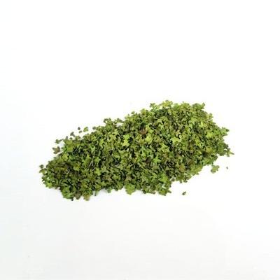 33ml Realistische Miniaturblätter Simulationsblätter für DIY Modellbau Basing Eisenbahn Bonsai Feengarten Diorama Zubehör GroundKit