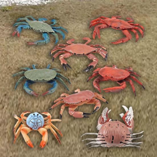 Simulation Animal Model Vivid Intelligence Development Solid Aquarium Miniature Crab Cognition Education Toy for Home