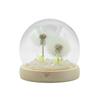 Floral Glow Garden Dome – 2 Dandelions – LED USB