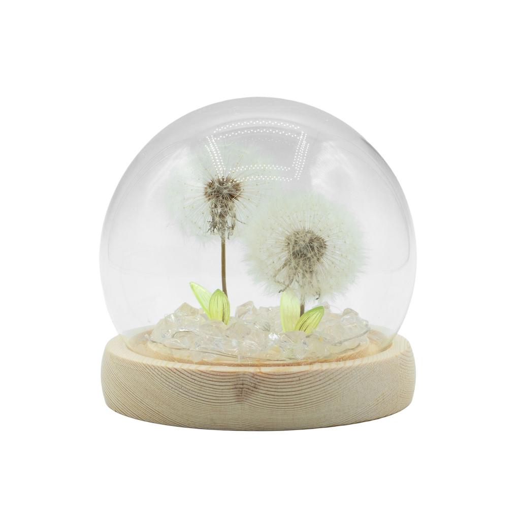 Floral Glow Garden Dome – 2 Dandelions – LED USB