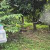 Pressure Water Spray Bottle Wand Extended Rod Replace Hand Pump Garden Sprayer for Watering,