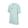 (GS) Air Jordan Ripped Flight T-shirt 'Mint Blue' Kids' HQ7147-382