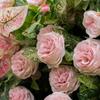 Uflower Artificial Flower Wall Roll-Up with Green Leaves Pink Rose - Hanging Fabric Floral Backdrop for Wedding Event Party