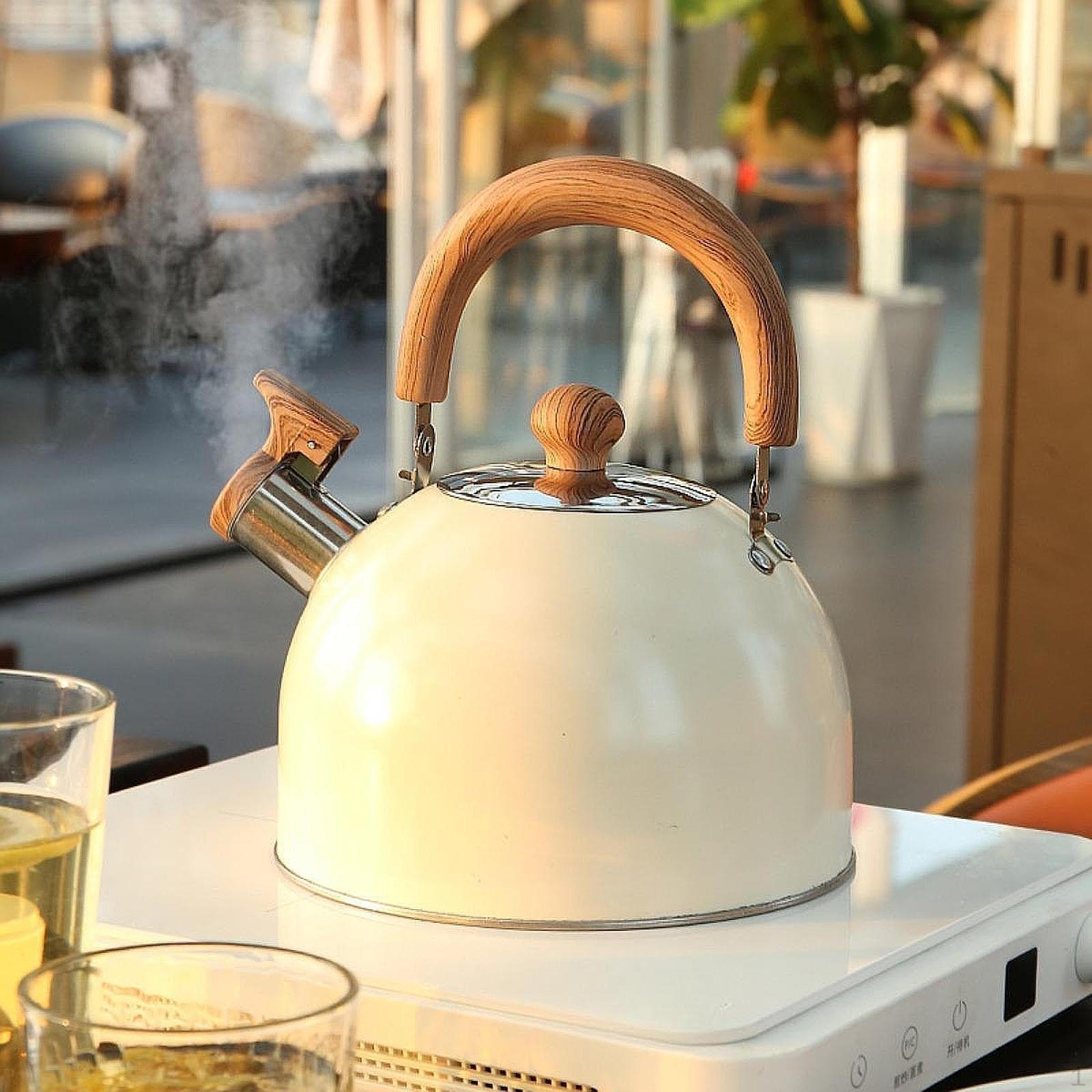 2.5L Tea Kettle Beverage Jug Water Teapot for Restaurant Household Office verde