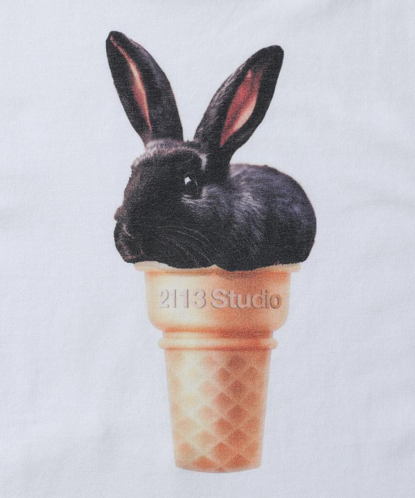 2113 STUDIO Aero Crop T-Shirt 11