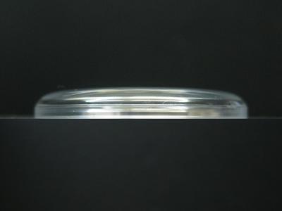 SEIKO Business Watch Crystal for Models (R) 8305-8040/8041/8050/8051/8060, 8306-8020/8040/8046/8070/8071 (Tos 310T05AN)