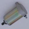 Motorcycle Starter Motor for WJ250/GN250/QM250J-2L/2D Engines