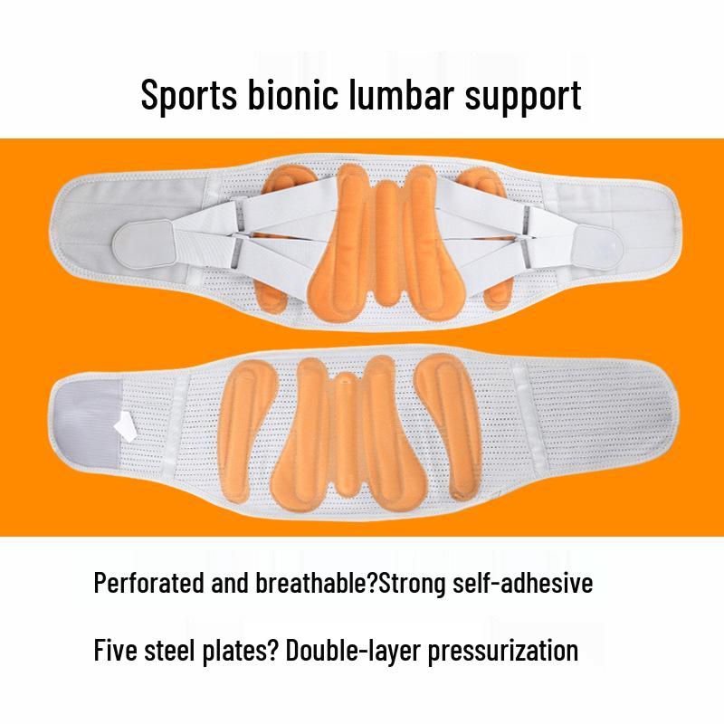 Breathable Waist Belt with Steel Plate for Lower Back Pain Relief and Abdomen Shaping Lumbar Support