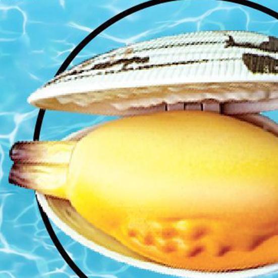 5Pcs Water Spray Toy Strong Clam-Shaped Water Play Toy Mist Sprayer Novelty Summer Beach Party Accessory