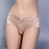 3XL Large Size Sissy Pouch Panties Mens Physiology Underwear Sexy Lace Soft Comfortble U Convex Briefs Feminization Gay Lingerie