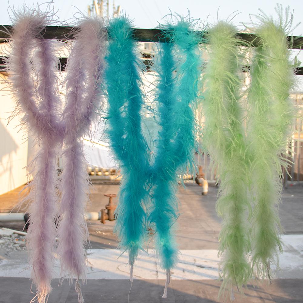 Fai da te 2 Metri Singolo Strato Piume di Struzzo Boa Naturale Piume Trim Gonna Sciarpa Stola Matrimonio Festa Costume Decorazione Artigianato Piume
