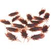 5-50PCS Simulated Cockroach Insect Ornaments Cockroachs Recognition Observation Props DIY Halloween Home Desktop Decorations ZYF