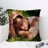 Constellation Series Cushion Cover Anti-dustmite Pillowcase Invisible Zipper Silky Short Plush Sofa Cushion Cover