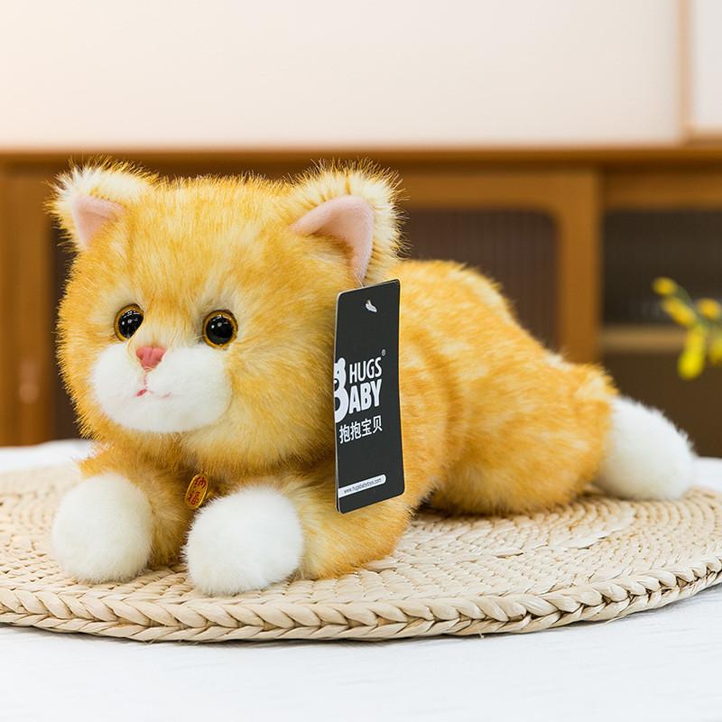 

Husky Plush Toy With Short Plush Material Perfect For Children And Gifts HugLuckyCat,30cm