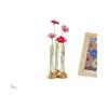 Plastic Test Tube Clear Vase Space-Saving with Bamboo Base Transparent Hydroponic Vase Tabletop Decoration Plants Flower Pot