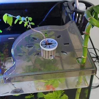 Fish Tank Corner Shelf Triangle Aquarium Corner Shelf Home Organization Storage Stand Reef Accessories For Tweezers Scrapers