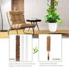 Moss Pole Plant Support 4Pcs 24 Inch Water Retention Corrosion Resistant Moss Stick with D-Shape Fastening Strap for Climbing Plants