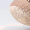 Multi-Functional Mushroom Head Makeup Brush Large Size Soft Bristle Loose Powder Blush Brush Hair Clean Body Brush Cosmetic Tool