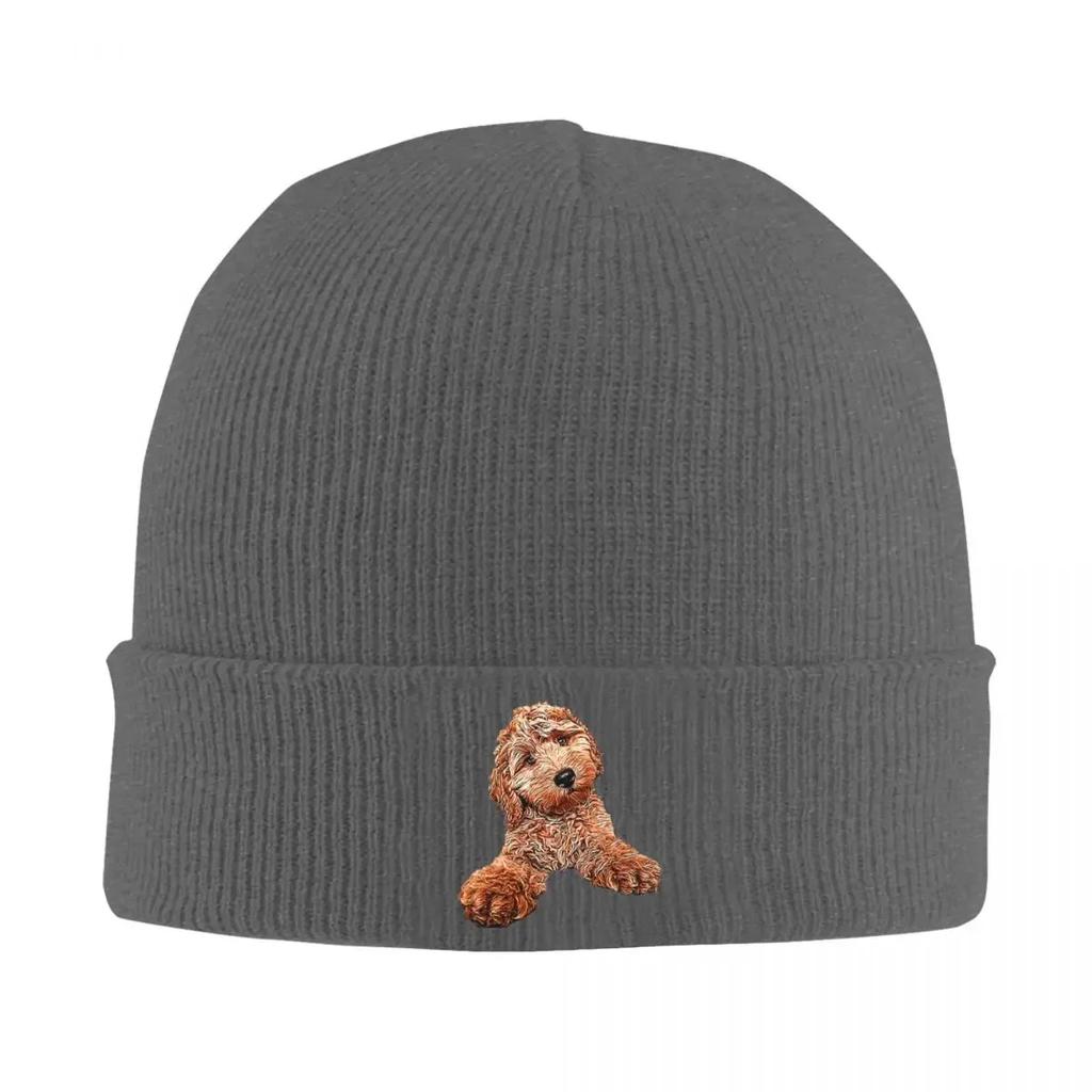 King Boo Warme Strickmütze Hip Hop Beanie Mütze Herbst Winter Outdoor Mützen für Unisex Damen Erwachsene