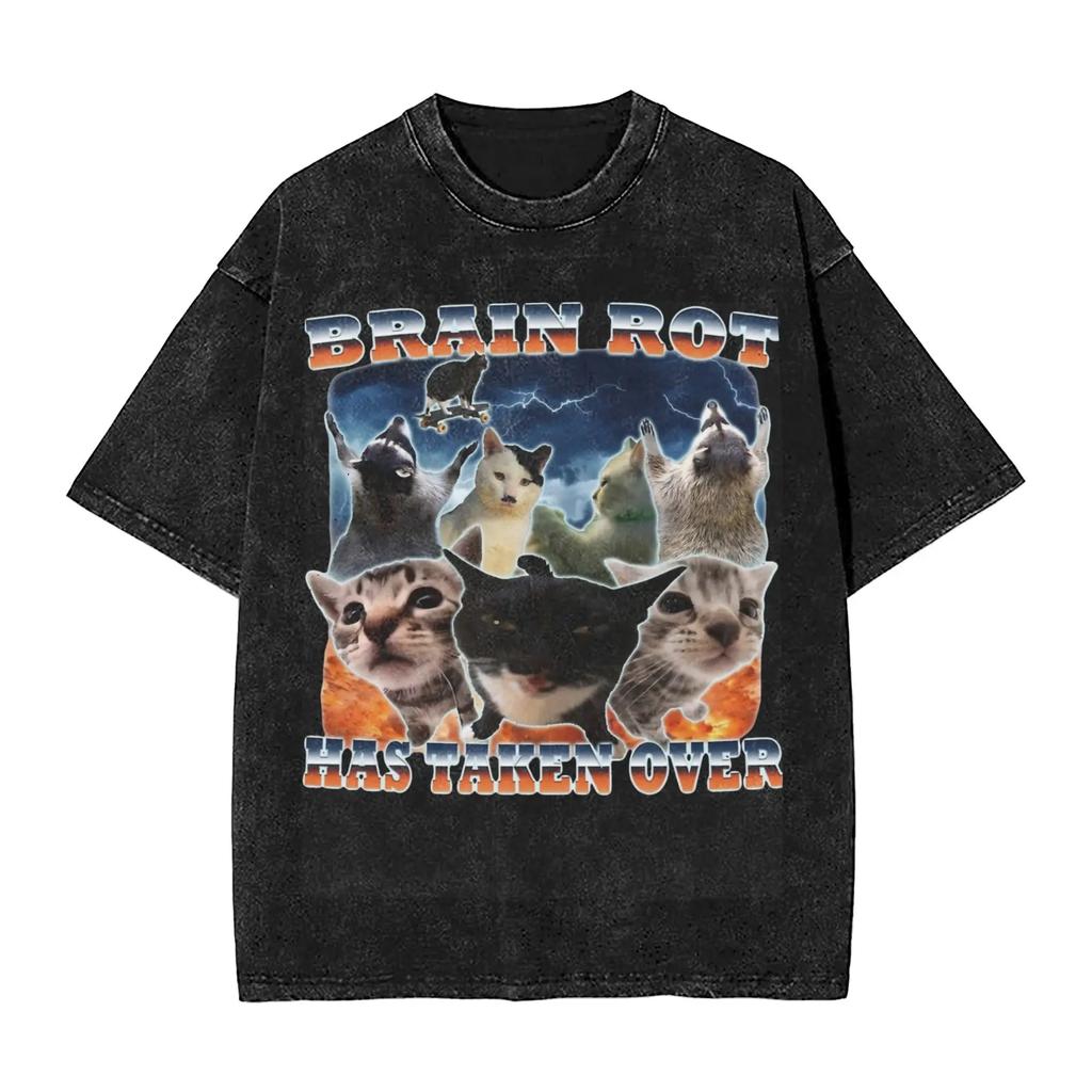 Men Women Harajuku Washed T-shirts Brain Rot Has Taken Over Funny Cat Meme Print Shirt Merch High Street Tee Shirt