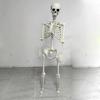 Halloween Festival Supplies Spooky Decorations Pumpkin Skeleton Light Props Party Haunted House Ornaments