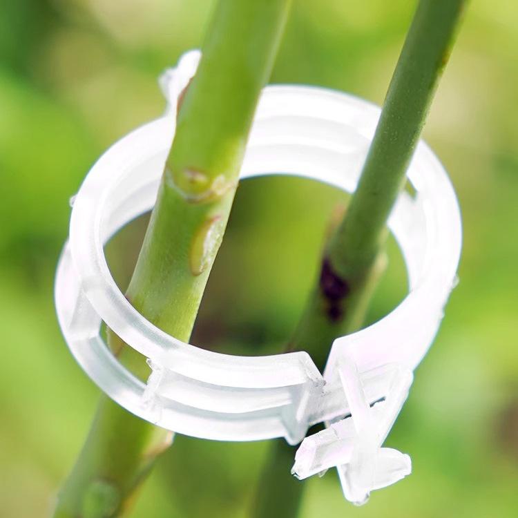 

Зажим для растений/зажим для виноградной лозы/пластиковый зажим для виноградной лозы/зажим для веток/зажим для виноградной лозы/зажим для удержания виноградной лозы 4pcs