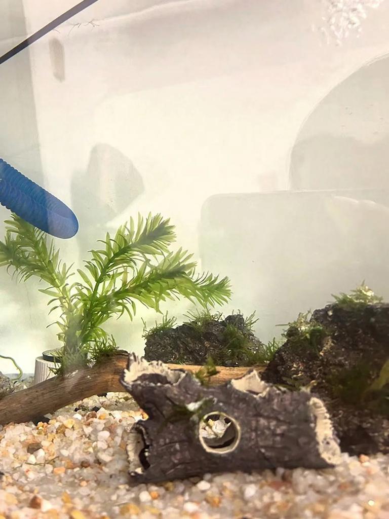1 Piece of Tree Branch Fragments Aquarium Decoration, Fish Tank Landscape Decoration, Shrimp and Fish Hiding House