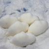 Squishy Cute Seal Squeeze Stress Relief Toy Soft Mochi Toy Cartoon Slow Rebound Decompression Fidget Toys For Kids Gifts