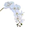 Realistic Phalaenopsis Orchid Single Stem for Wedding, Home Decor, and Floral Art