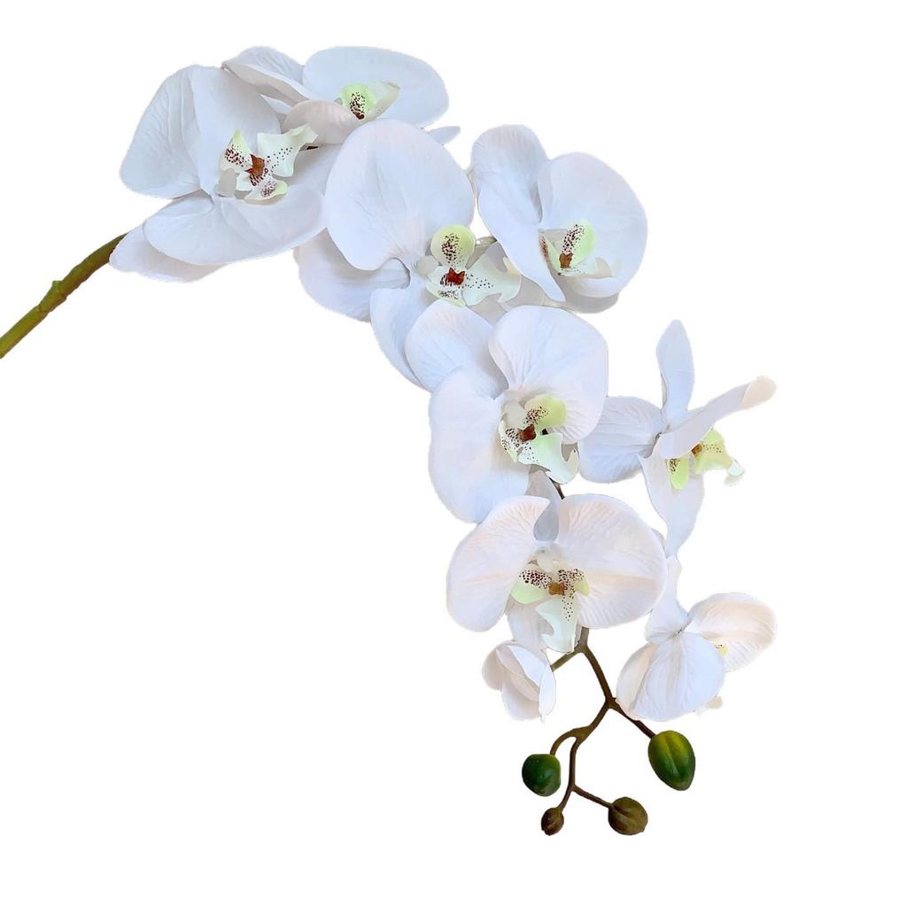 Realistic Phalaenopsis Orchid Single Stem for Wedding, Home Decor, and Floral Art