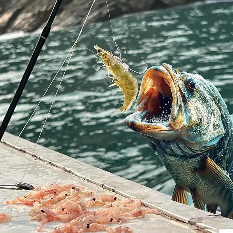 10/20 Stück Leuchtende Live-Garnelenhaken Hochbelastbarer Metall Widerhaken Angelhaken Süßwasser Salzwasser Wels Barsch Angelhaken