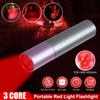 Red Light Penlight One Mode Red Light Flashlight for Camping Hiking Animal Protecting Beekeeping Detecting Aviation Night Vision