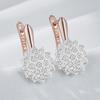 Full Shiny Natural Zircon Dangle Earrings For Women Unique  Rose Gold  Color Mix Wedding Jewelry Best Gift