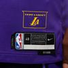Nike X NBA Dri-Fit Los Angeles Lakers Anthony Davis 2024/25 City Edition Trikot Herren Trikots Lila FQ4346-505