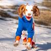 Winter Dog Coats Greyhound Thick Ollie Fleece Stretch Quad Suit Autumn Keep Warm Dog Clothes Puppy Four Legged Clothes Products
