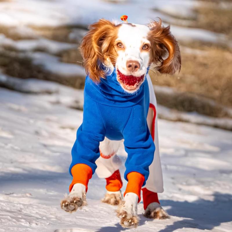 Winter Dog Coats Greyhound Thick Ollie Fleece Stretch Quad Suit Autumn Keep Warm Dog Clothes Puppy Four Legged Clothes Products