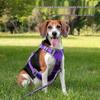 Adjustable Dog Harness with Leash for Small To Large Breeds - Ideal for Puppies, Corgis, and Shiba Inus