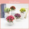 Mini Rose Plastic Potted Plant Bonsai For Wedding Photography And Home Decor