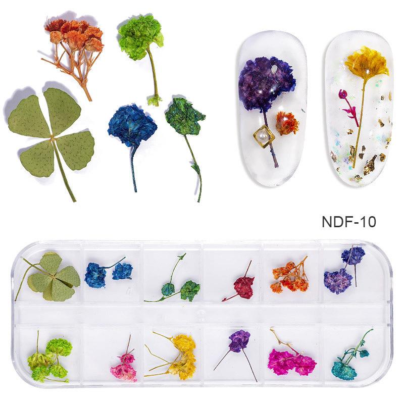 1Box Dried Flowers Dry Plants for Rsein Molds Fillings Epoxy Resin Pendant Tweezers Jewelry Making Craft DIY Nail Art Decoration