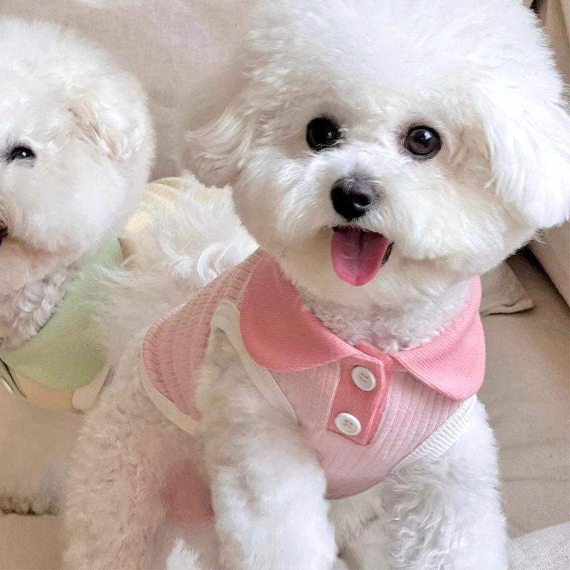 Spring and summer dog clothes macaron contrasting color lapel casual polo shirt elastic breathable small dog pet clothes