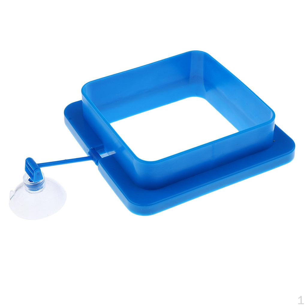 Buoyancy Circle Aquarium Feeding Ring Floating Feed Tool Fish Tank