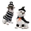 Halloween Labrador Puppy Statue Resin Witch Dog Figurine with Hat Cape Spooky Pet Sculpture Home Garden Decor