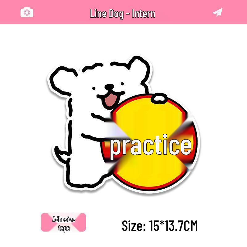 2026 Reflective Cute New Female Driver Magnetic Car Sticker Adhesive