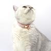 Cat Collar Velvet Solid Color Pet Chocker Necklace with Bell Adjustable Neck Collar for Cat Kitten Puppy Small Dogs