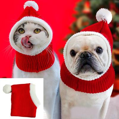 Katten – Kleding voor katten